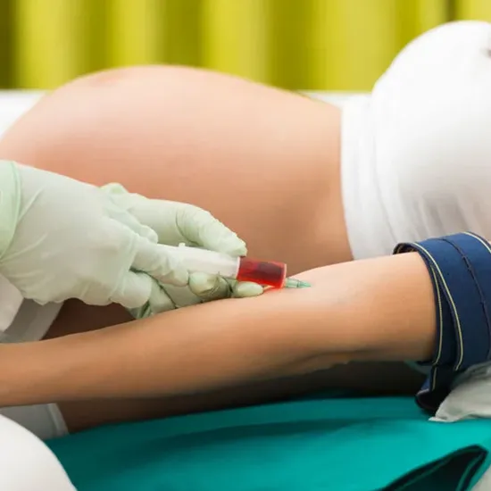 torch panel igg and igm extended